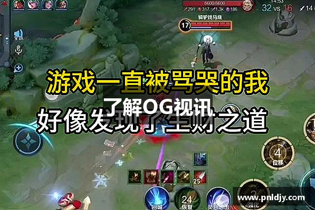 了解OG视讯
